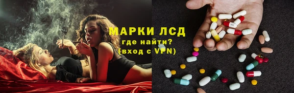 СК Кодинск